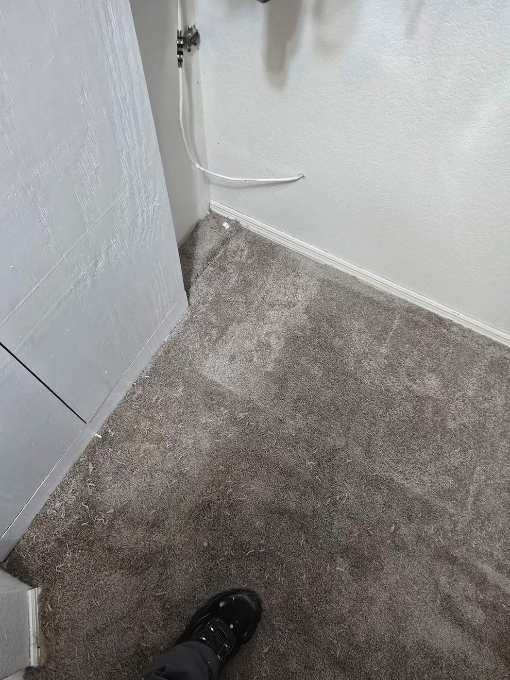 Old carpet in closet before renovation